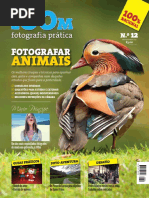 Lideographie dynamique