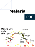 K24-Malaria Blok Tropmed