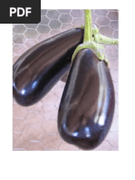 Receitas Com Berinjela