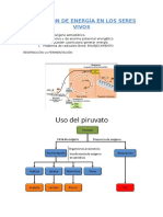 Fermentación (Intro)