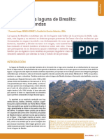 Origen de la laguna de Brealito: deslizamiento rocoso formó dique natural