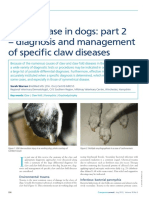 2013 Claw Disease in Dogs Part 2 - Diagnosis and Management of Specific Claw Diseases