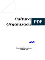 Apunte Cultura Organizacional JVz