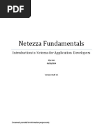 Download Netezza Fundamentalspdf by raghutejharish SN305127130 doc pdf