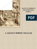 Lesao e Morte Celular