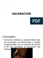 Valoracion Expo 2