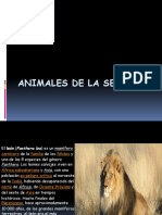 Animales de La Selva