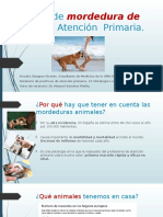 Manejo de La Mordedura de Perro en Atención Primaria