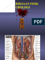 123409630-PEMERIKSAAN-UROLOGI.ppt