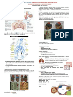 Approach To The Patient With Respiratory Disease