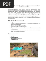 High Density Fish Farming