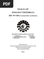 Download Makalah Ikan Hiu Putih by Ristia Zulhijjah Rahar SN305316251 doc pdf