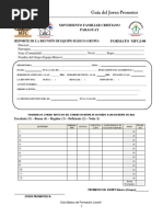 Formato S-05: Evaluación de Reunión | PDF