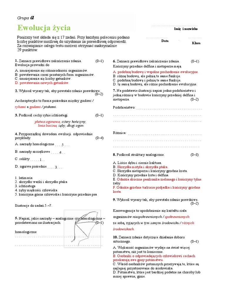 Test Biologia Klasa 6 Dział 1 Puls życia Ewolucja Życia - Test a i B biologia