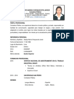 CV Gladys Choquecota PDF