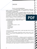 Gyógymasszázs PDF
