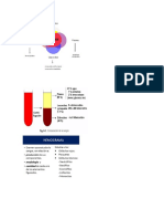 Transcripción hemograma