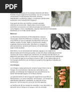 Brusca and brusca invertebrates pdf file download