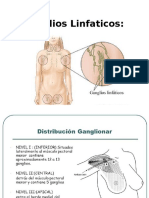 Ganglios Linfaticos