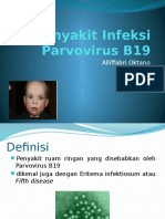 Penyakit Infeksi Parvovirus B19