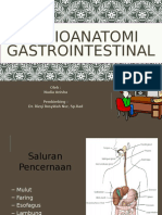 Radioanatomi Gi Na