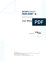 Feflow Manual