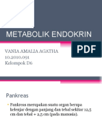 Metabolik Endokrin