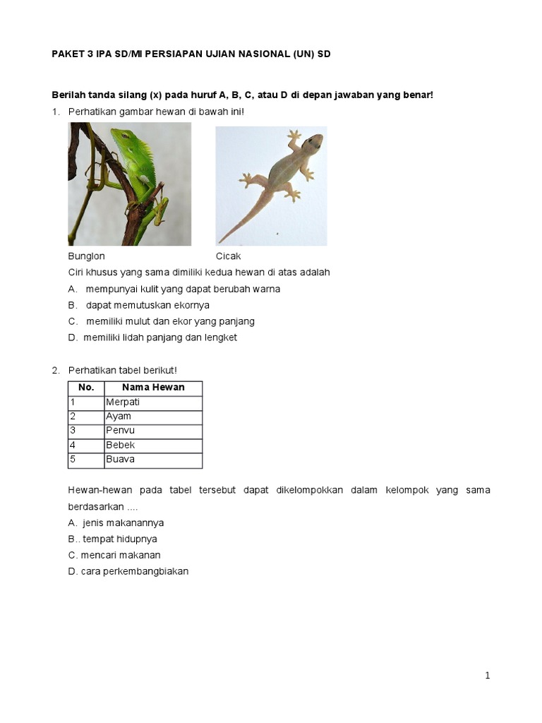 930 Koleksi Gambar Hewan Sd HD