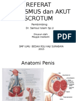 Priapismus + Akut Scrotum Maygie