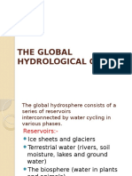 The Global Hydrological Cycle