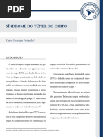 2013-05-18-182252_Sd. Túnel Carpo