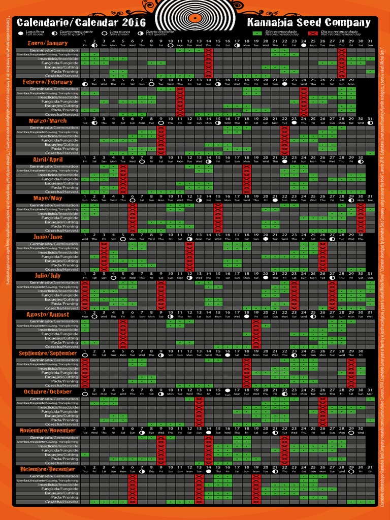 Calendario imprimible de cannabis: organiza tu año con estilo