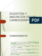 Digestión y Absorción de Los Carbohidratos