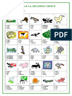 Farm Animals Co Multiple Choice