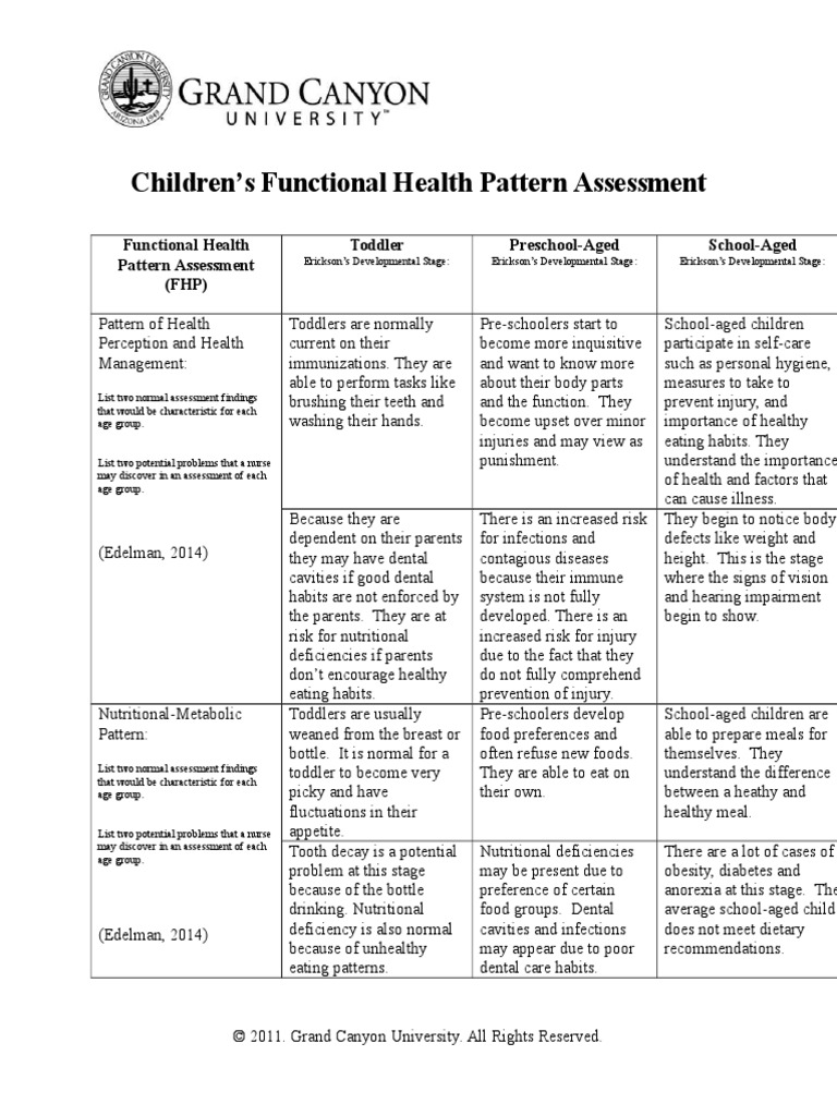 Children functional health assessment essay example 06 image