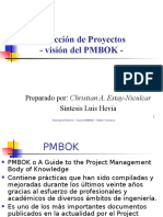 2005_PMBOK-resumen