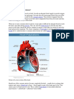 What Is Cardiovascular Disease