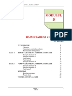 Modul 5 Raportare Si Verificare