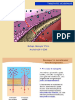 Transporte membranar essenciais