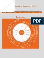 Drug Life Cycle and Drug Development Process at Piramal Pharma Solutions