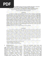 Download ESTIMASI STOK KARBON PADA TEGAKAN POHON Rhizophora stylosa DI PANTAI TALANG IRING by Umbu Hina Tarap SN305484267 doc pdf