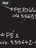 Simon - O Mundo Em Chamas e o País Inconcluso