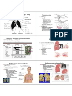 2010-B3 Pathophysiology Lung Pneumonia: Pathology