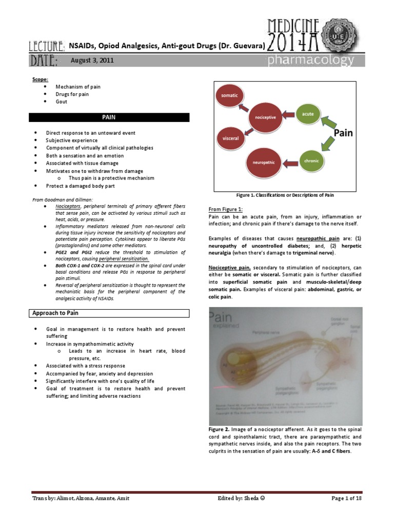 Pain Management: NSAIDs and Analgesics | PDF | Nonsteroidal Anti ...