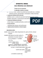 Renal - Curs 1