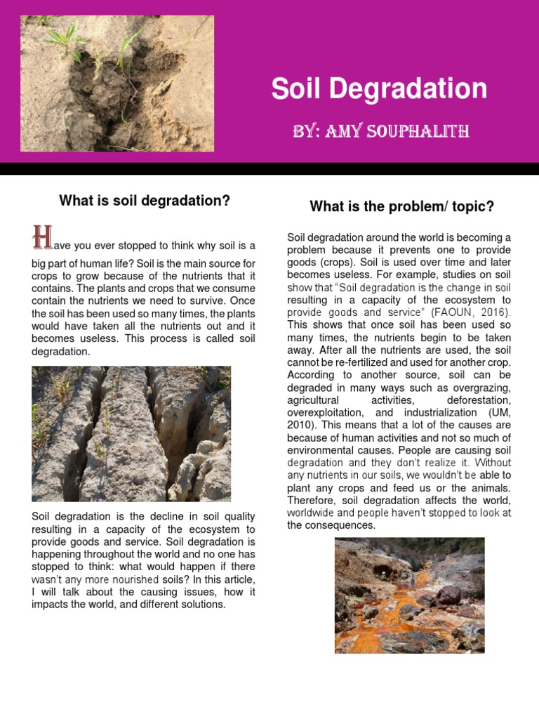 Soil Degradation PDF PDF Environmental Degradation Soil