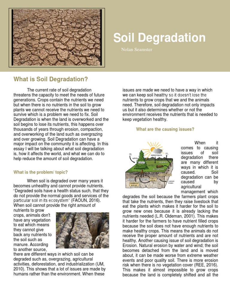 essay soil degradation
