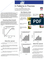 Peony Growth Poster