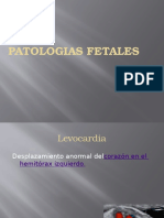 Patologias Fetales