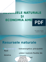 Resursele Naturale Şi Economia Americii